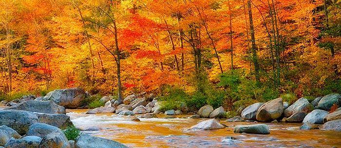 Fall Retreat In New Hampshire