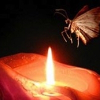 Moth To Solar Flame E1362833113587