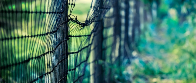 How boundaries keep us safe Boundaries