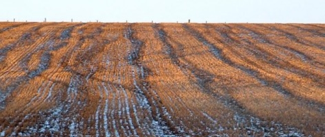 Fallow Ground Fallow Ground 472x2951