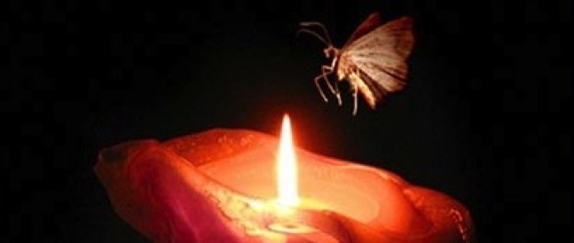 Moth To Solar Flame E1362833113587